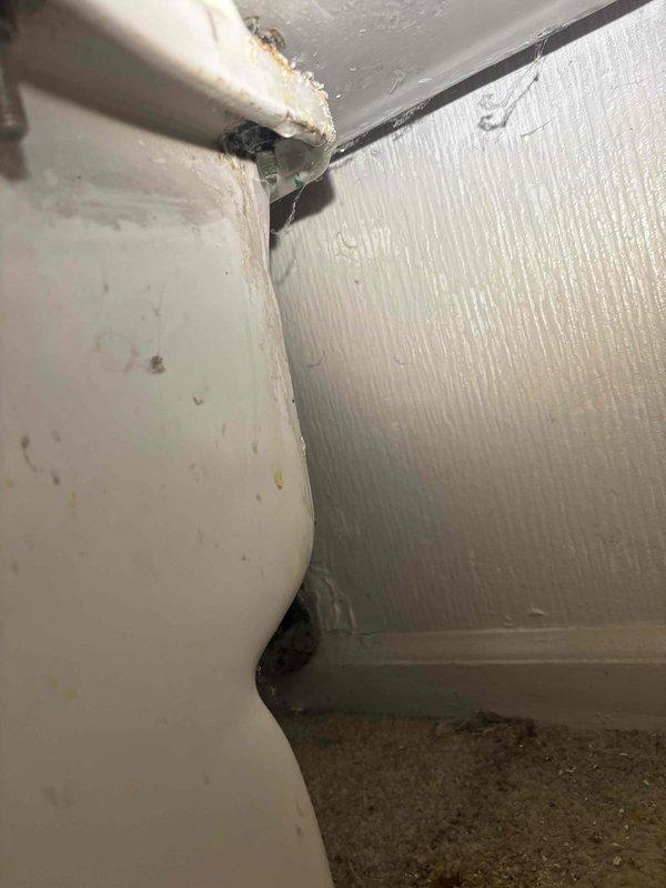 Responded to a service call regarding a persistently leaking toilet despite previous repair attempts. Inspection revealed significant water damage and corrosion at the fixture connection points, with visible staining on the ceiling area below. Successfully replaced damaged supply line components and sealed leaking connections to resolve the recurring issue.