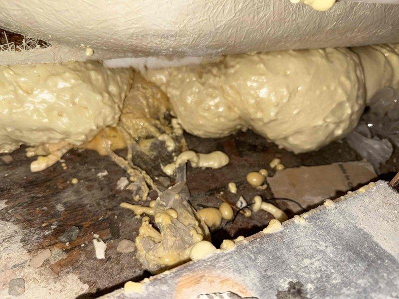 Responded to a reported leak from master bathroom affecting porch light fixture. Inspection of the structural cavity revealed moisture damage to wooden joists. Applied spray foam insulation to seal gaps between structural elements and around pipes to prevent further water intrusion.