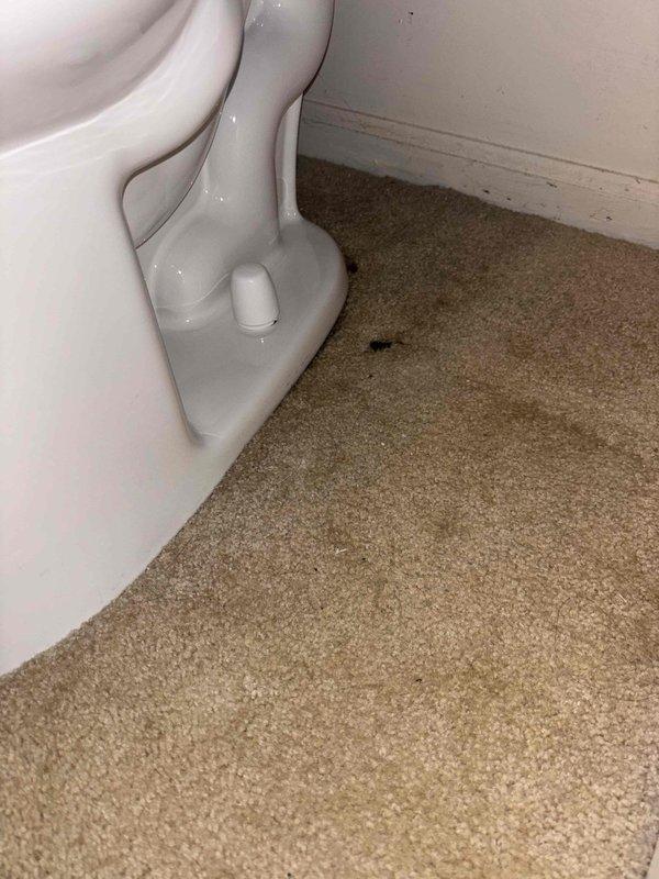 Successfully installed customer-supplied toilet, including proper mounting to the existing toilet flange on concrete floor with new wax ring. Secured fixture with mounting bolts and verified proper seal and function before completing the installation.