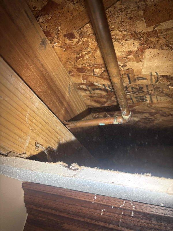 Responded to service call for clogged floor drain in garage and leaking outside faucet. Upon inspection, accessed plumbing system through ceiling access point to diagnose drainage issue and locate source of exterior faucet leak. Cut access opening in ceiling to expose copper supply lines and structural plumbing components for proper assessment and repair access. Documented conditions of exposed plumbing infrastructure and framing for repair recommendations.