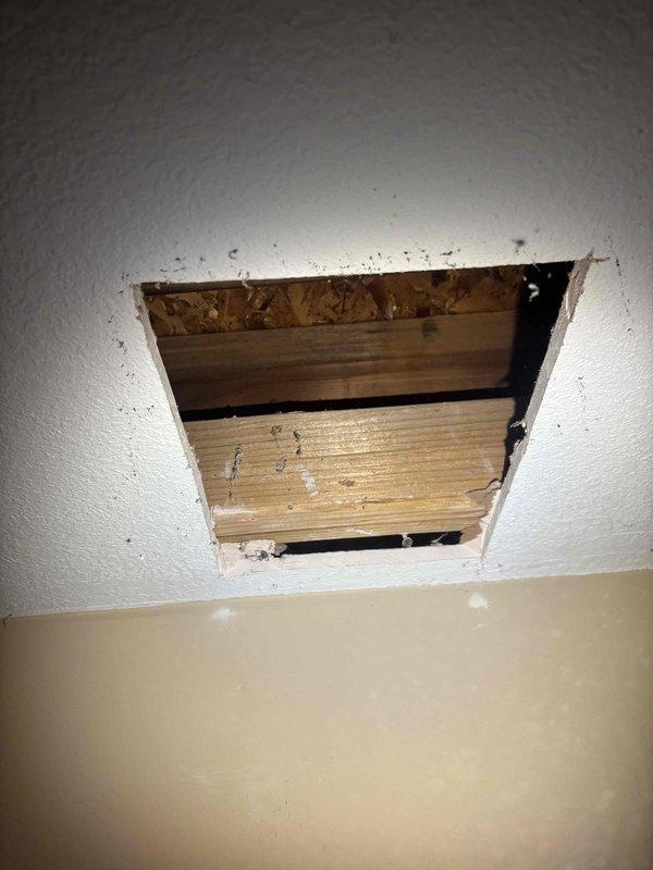 Responded to service call for clogged floor drain in garage and leaking outside faucet. Upon inspection, accessed plumbing system through ceiling access point to diagnose drainage issue and locate source of exterior faucet leak. Cut access opening in ceiling to expose copper supply lines and structural plumbing components for proper assessment and repair access. Documented conditions of exposed plumbing infrastructure and framing for repair recommendations.