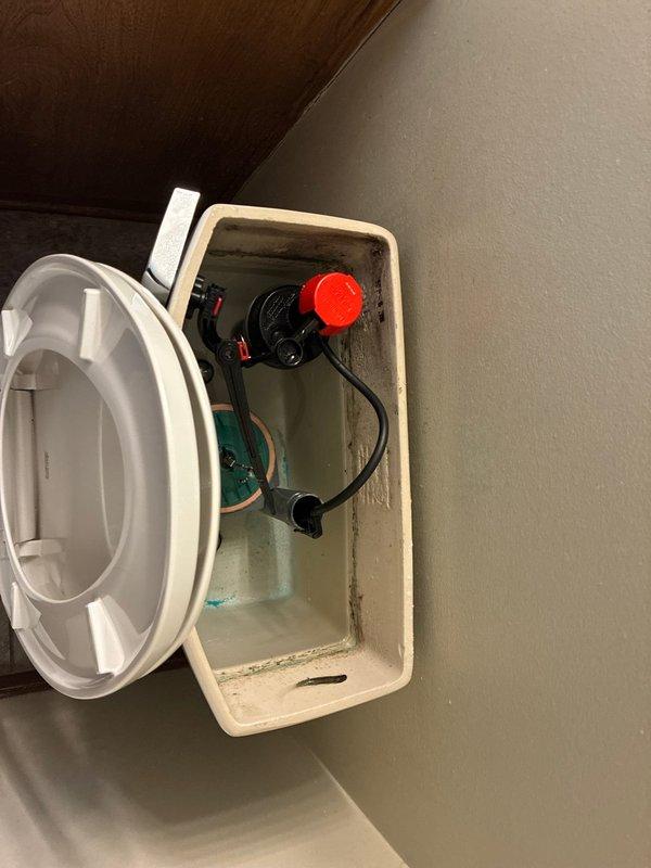 Responded to complaint of continuously running toilet with squeaking noise in main level bathroom. Upon inspection, identified American Standard toilet with faulty fill valve causing the reported symptoms. Replaced defective fill valve assembly to eliminate running water and squeaking sound. Also serviced condensate pump basin in utility area, removing accumulated mineral deposits and algae buildup from reservoir. Tested toilet flush cycle and verified proper fill valve operation with no leaks or unusual sounds. All systems restored to normal operation.