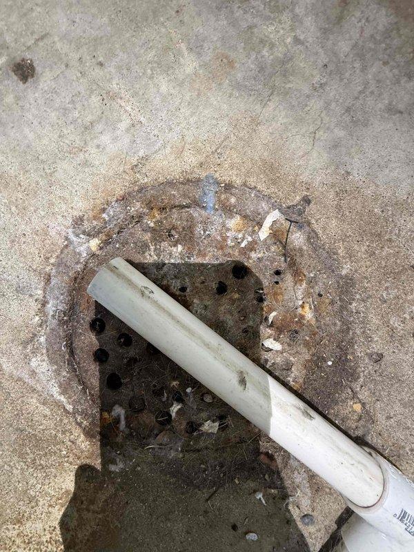 Performed recurring plumbing maintenance service including floor drain inspection and cleaning to remove debris buildup and sediment accumulation. Verified proper water flow and drainage functionality at bathroom sink fixture with chrome faucet assembly.