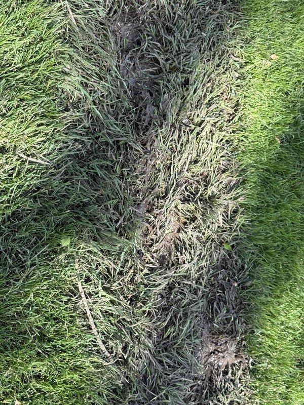 Responded to service call for water spots appearing in yard with concern about potential drain line issues. Conducted thorough leak location investigation of the property, examining both artificial turf areas and natural grass sections. Visual inspection revealed significant water damage patterns, including a pronounced discolored and matted strip running through the synthetic turf surface, indicating consistent moisture exposure causing fiber degradation and compression. Additional assessment of the grass median areas showed diagonal patterns of soil erosion and turf deterioration consistent with subsurface water migration. Documented all affected areas with photographic evidence for diagnostic purposes. The damage patterns observed suggest active water intrusion from underground source requiring further excavation to pinpoint exact location of drain line compromise.