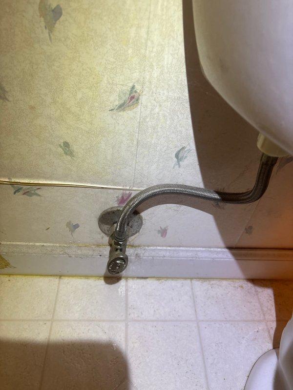 Completed routine plumbing maintenance inspection of residential property. Verified proper operation of toilet water supply line with braided stainless steel flex connector and inspected water heater installation including copper supply lines, pressure relief valve, and all connections for leaks or deterioration. All plumbing fixtures and components found to be functioning within normal parameters with no immediate repairs required.