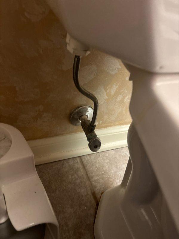 Completed plumbing maintenance inspection at residential property, examining toilet supply line connections and main water distribution system in basement utility area. Inspected copper supply lines, shut-off valves, and control devices to ensure proper operation and verify system integrity with no leaks detected.