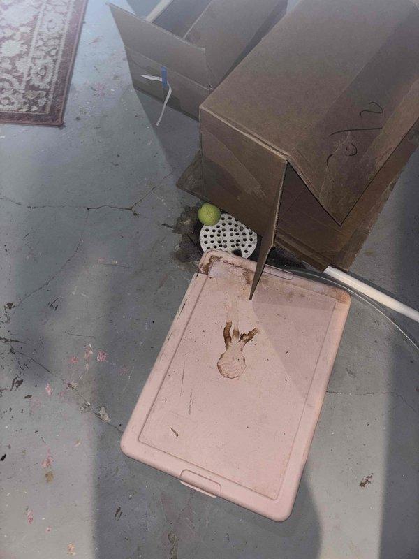 Responded to service call for tanked water heater with pilot light that would not remain lit. Upon inspection of the unit in the basement, diagnosed faulty thermocouple as the cause of pilot outage. Replaced thermocouple, tested pilot light operation, and verified proper flame sensor function to ensure safe and reliable water heater operation.