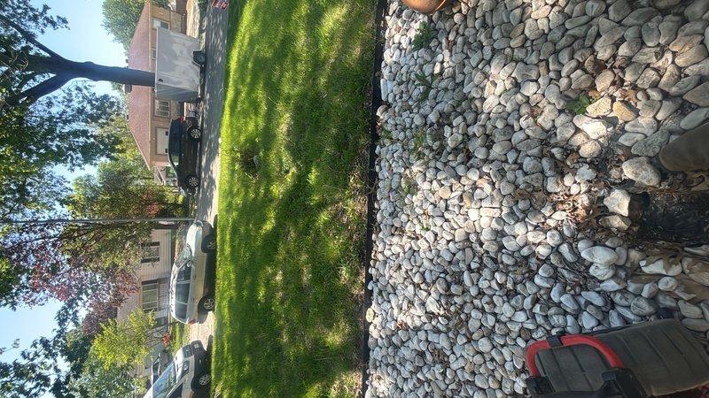 Performed preventative maintenance cleaning of the main drain cleanout located in the front yard near the house. Accessed the cleanout through the landscaped area with decorative river rock bedding. Successfully cleared and flushed the main drain line to ensure proper flow and prevent future blockages.