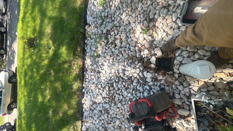 Performed preventative maintenance cleaning of the main drain cleanout located in the front yard near the house. Accessed the cleanout through the landscaped area with decorative river rock bedding. Successfully cleared and flushed the main drain line to ensure proper flow and prevent future blockages.