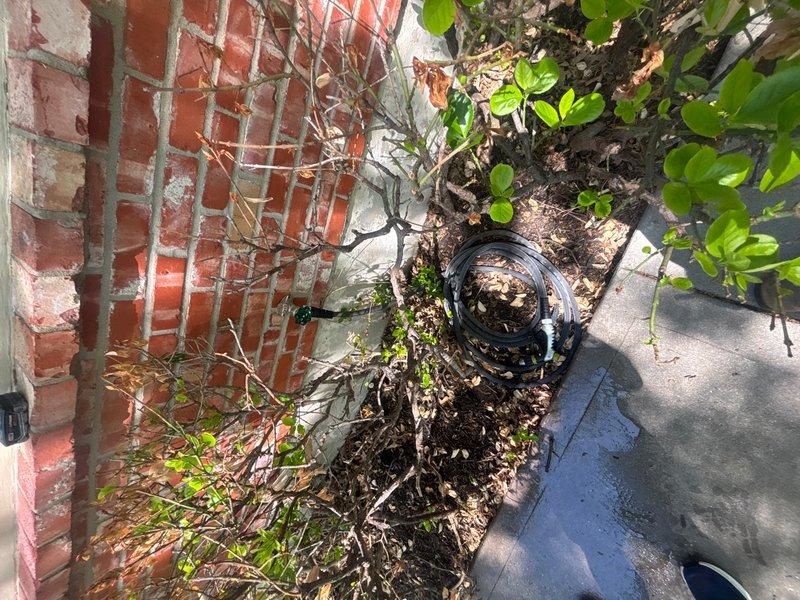 Responded to service call for gas leak detection and pressure testing with gas supply in off position. Conducted thorough inspection of property exterior, focusing on areas near foundation and planting beds adjacent to brick wall structure. Documented conditions of outdoor plumbing fixtures and surrounding areas with photographic evidence. Additionally identified and documented water leak at exterior faucet requiring repair. Completed visual inspection of accessible gas lines and plumbing components in affected areas.