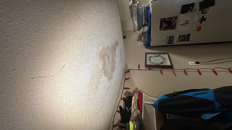 Responded to service call for reported water leak affecting garage ceiling. Conducted thorough leak location investigation to identify source of moisture intrusion. Upon inspection, traced water staining on ceiling to plumbing infrastructure located in space above garage. Examined copper supply lines and associated piping system in overhead area, identifying deteriorated conditions around plumbing penetrations and aged building materials that may be contributing to moisture issues. Documented leak source location and extent of water damage with photographic evidence. Provided assessment of necessary repairs to resolve active leak and prevent further water infiltration damage to ceiling surfaces and structure.