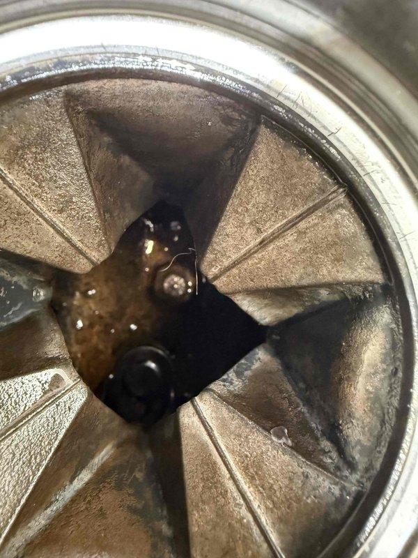 Responded to kitchen sink drainage issue caused by towel lodged in garbage disposal unit. Successfully removed blue terry cloth towel that had become wedged in the disposal mechanism, extracted disposal grinding assembly to clear obstruction, cleaned accumulated debris from impeller blades and grinding chamber, reassembled unit, and tested for proper operation. Disposal now functioning normally with clear drainage restored.