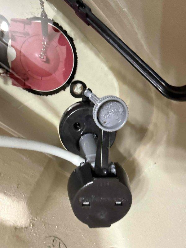 Performed leak location service in basement and identified source of water intrusion causing mold growth at washing machine supply line connection. Inspected upstairs toilet with continuous running issue and assessed flush valve assembly, float mechanism, and defective shut-off valve requiring replacement. Documented plumbing deficiencies with photographic evidence showing compromised hose connection with improper mesh material present and internal tank components including pink float assembly and flush valve mechanism.