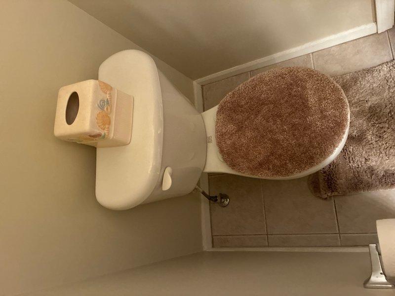 Completed plumbing estimate for replacement of water supply piping serving two residential toilets. Existing piping system is over 20 years old and requires replacement while maintaining current toilet fixtures. Assessment conducted of both bathroom locations to determine scope of work for supply line replacement and connection points.