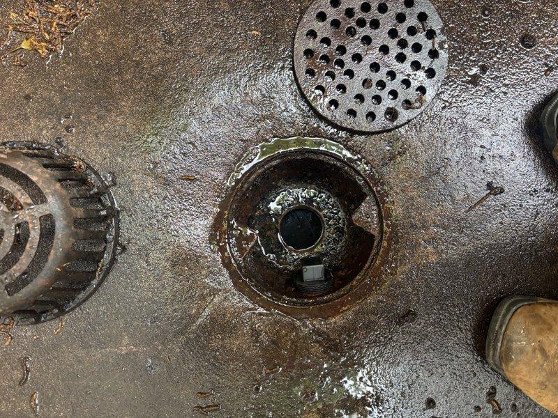 Responded to clogged exterior stairwell drain system in 68-year-old residential property. The underground drainage line connects to an interior sump pump assembly. Upon arrival, found multiple drain grates with significant debris accumulation and standing water on concrete surface, indicating complete blockage of the subsurface drainage system.

Removed drain covers and inspected drainage infrastructure. Identified substantial buildup of organic matter, sediment, and mineral deposits within drain openings and underground piping. The age of the home and exterior location contributed to deterioration and blockage severity.

Performed mechanical augering of underground drain line to break up and remove obstruction. Cleared debris from drain grates and flushed system with water to verify proper flow through underground piping to interior pump. Tested drainage capacity by introducing water at multiple points along the stairwell area. Confirmed water now flows freely through the system witho