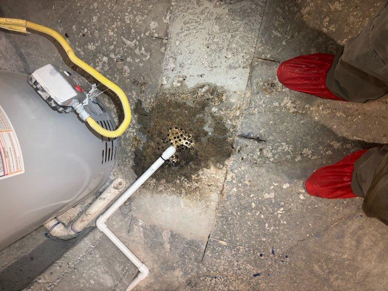 Responded to sewage backup issue in basement shower drain. Upon arrival, found evidence of drainage system blockage causing wastewater to reverse flow through the shower drain fixture. Inspected basement plumbing configuration and identified clog in main drain line. Utilized mechanical augering equipment to clear obstruction from drainage system. Successfully removed blockage and restored proper flow direction. Tested system operation by running water through fixtures to verify complete clearance and proper drainage. Confirmed no additional backflow occurring and all wastewater flowing correctly through main sewer line.