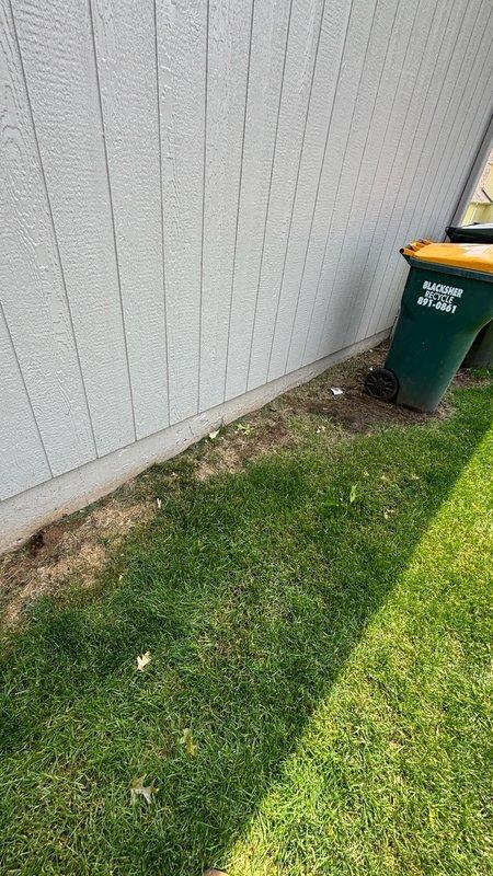 Responded to reported main line leak and shut-off valve concern. Performed comprehensive leak detection inspection of main water line system, examining both interior plumbing connections near water heater and exterior main line entry point. Inspected shut-off valve operation and integrity, checked copper supply lines, and assessed PVC drain system for any signs of moisture intrusion or active leaks.