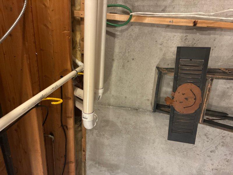 Performed maintenance on tankless water heater and standard water heater system, completing full flush procedures on both units to remove mineral buildup and ensure optimal performance. Cleared slow-draining shower in bathroom using mechanical snake to restore proper drainage. Customer also requested estimate for water softener service, which will be provided separately.