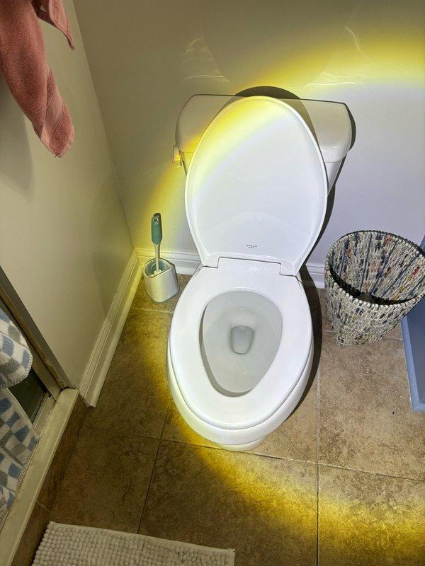 Performed scheduled plumbing maintenance visit including inspection of Rinnai RUC98i tankless water heater unit and bathroom facilities. Offered optional tankless water heater flush service to maintain optimal performance and extend equipment lifespan.