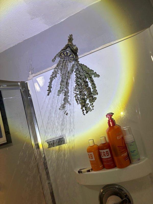 Completed comprehensive whole-home plumbing inspection including visual and operational assessment of all accessible fixtures and systems. Inspected bathroom shower system with ceiling-mounted showerhead assembly, verified proper water flow and drainage operation, examined tile surround and glass enclosure for signs of leaks or moisture damage. Conducted thorough examination of under-sink plumbing including supply line connections, shut-off valves, drain assemblies, and flexible supply hoses; noted minor mineral deposits and age-related discoloration on brass fittings but all components functioning within normal parameters. Performed visual and operational check of sump pump system as requested. All plumbing systems inspected found to be operational with no immediate repairs required at time of service.