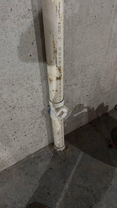 Performed camera inspection of main drain line in basement to assess potential root intrusion from two large trees located at front of property. Inspected PVC drainage piping and cleanout access point, documenting current condition of system including visible staining on vertical drain stack and cleanout cover at floor level. No immediate blockages or root damage detected during inspection; system appears to be functioning properly at this time.