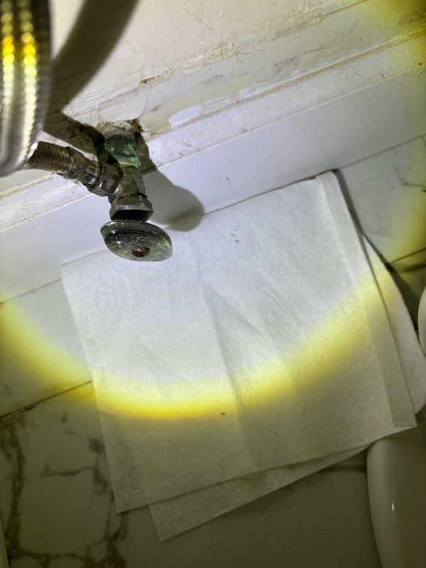 Responded to service call for low water pressure issues at residential property. Upon inspection, identified corroded outdoor hose bib with significant mineral buildup and oxidation affecting water flow. Examined interior plumbing system including copper and brass pipe assembly with multiple shut-off valves connected to water heater or main supply line. Diagnosed pressure reduction caused by deteriorated exterior fixture and potential sediment accumulation in supply lines. Documented conditions of both interior plumbing connections and exterior spigot showing advanced corrosion requiring attention to restore proper water pressure throughout the system.