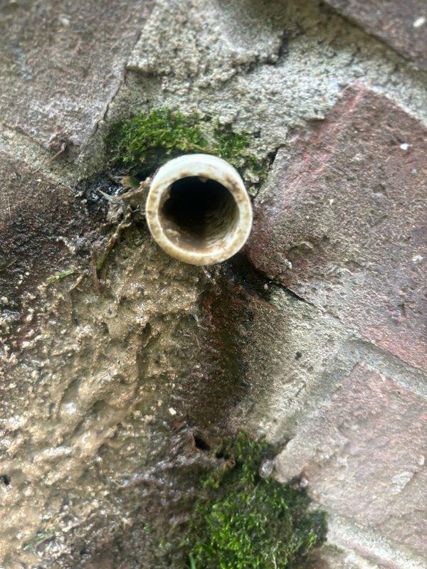 Responded to clogged drain issue in furnace room area. Upon arrival, located floor drain adjacent to YORK HVAC unit showing signs of blockage and moisture accumulation. Cleared obstruction from drain line using appropriate drain cleaning equipment, restoring proper water flow and drainage function. Inspected surrounding plumbing connections and copper lines servicing the heating unit to ensure no additional drainage concerns. Verified drain is now flowing freely and tested system to confirm proper operation.