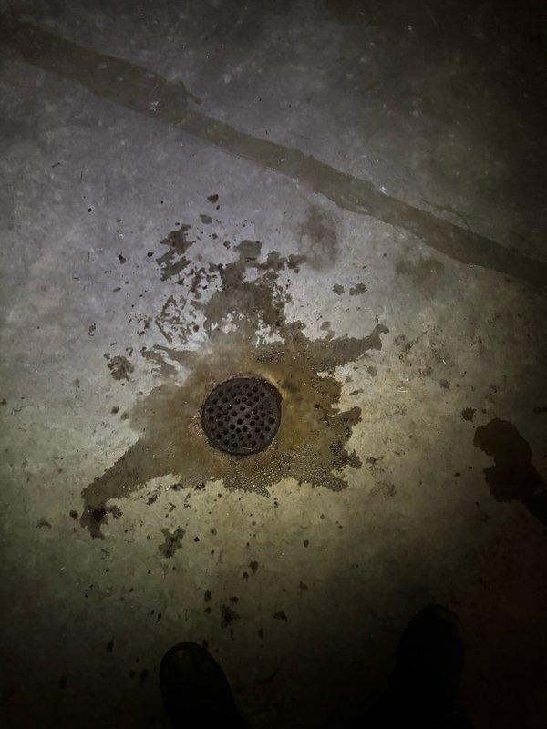 Responded to water heater leak in basement of mid-century modern home. Upon arrival, found active water accumulation on concrete floor surrounding floor drain, with visible pooling and moisture spread across basement surface. Inspected water heater unit and identified source of leak. Documented existing water damage and staining patterns on concrete floor indicating ongoing or previous water infiltration. Assessed drainage system functionality and confirmed floor drain was operational. Completed diagnostic evaluation of water heater condition and leak severity, captured photographic documentation of affected area and water damage extent for service records.