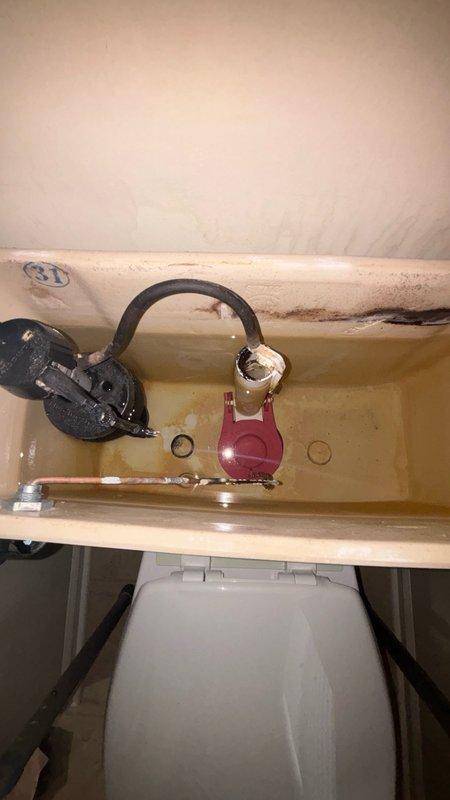 Performed camera scope inspection of drain lines to diagnose slow drainage issues. Inspected toilet tank internals and documented condition of flush valve assemblies, flappers, and fill valve mechanisms in multiple bathrooms, finding significant mineral buildup and aging components requiring replacement. Photographed deteriorated tank components showing discoloration, staining, and worn rubber seals to support recommended repairs for optimal toilet performance.