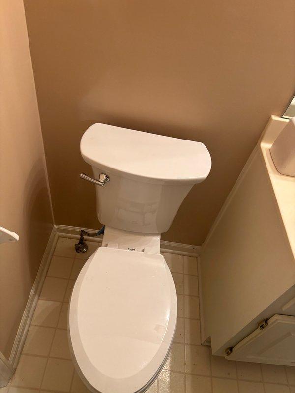 Removed existing toilet and installed customer-supplied replacement unit with new wax ring and supply line, then hauled away old fixture. Removed existing lavatory sink and installed customer-supplied utility sink, including new P-trap installation, faucet and drain assembly connection, and wall mounting for stability. All plumbing connections were tested and inspected to confirm proper drainage and verify no leaks upon completion.