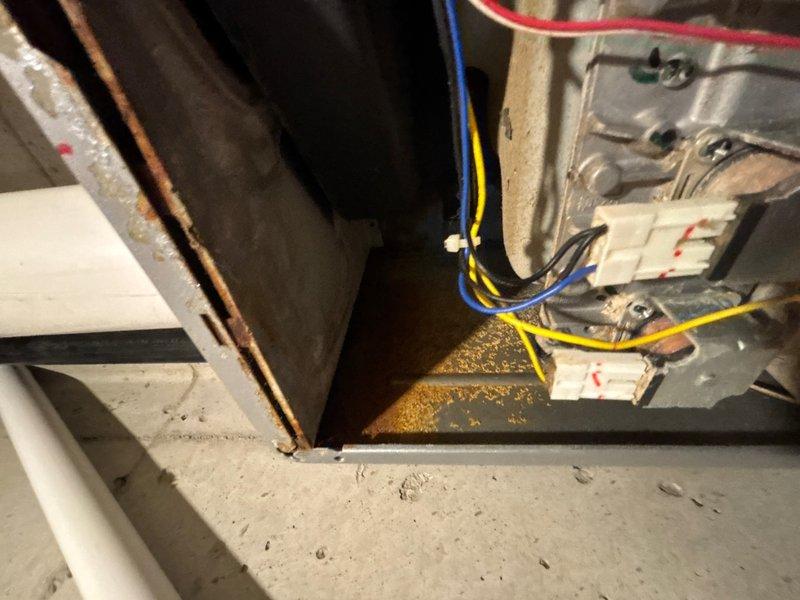 Responded to service call for water heater displaying error code 10 in basement location. Upon arrival, conducted visual inspection and diagnostic assessment of the tanked water heater unit. Accessed internal components by removing lower access panel to examine electrical connections, wiring harnesses, and base assembly. 

Inspection revealed significant rust accumulation and corrosion on the base drip pan and lower metal surfaces, indicating prolonged moisture exposure and potential condensation issues consistent with the age of the system. Examined all electrical wire connections including blue, yellow, and red conductor wires terminating at junction boxes and wire connectors. Verified integrity of copper supply lines and associated plumbing connections.

Investigated error code 10 fault condition by inspecting control board, internal wiring pathways, and mechanical components. Documented existing conditions through photographic evidence showing extent of corrosion on base components