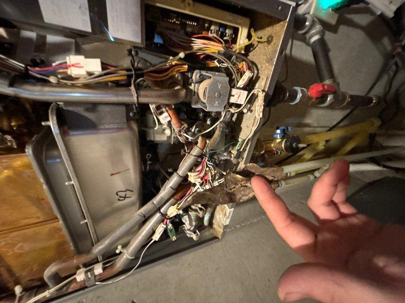 Responded to service call for water heater displaying error code 10 in basement location. Upon arrival, conducted visual inspection and diagnostic assessment of the tanked water heater unit. Accessed internal components by removing lower access panel to examine electrical connections, wiring harnesses, and base assembly. 

Inspection revealed significant rust accumulation and corrosion on the base drip pan and lower metal surfaces, indicating prolonged moisture exposure and potential condensation issues consistent with the age of the system. Examined all electrical wire connections including blue, yellow, and red conductor wires terminating at junction boxes and wire connectors. Verified integrity of copper supply lines and associated plumbing connections.

Investigated error code 10 fault condition by inspecting control board, internal wiring pathways, and mechanical components. Documented existing conditions through photographic evidence showing extent of corrosion on base components