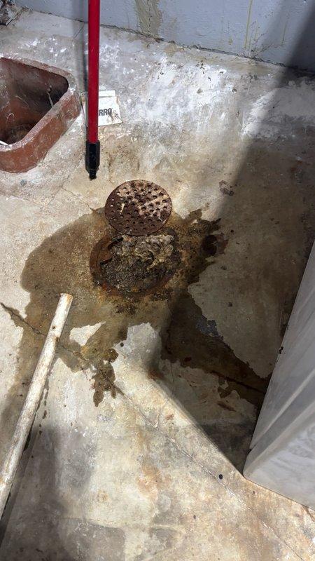 Responded to main drain cleanout service request during scheduled appointment window. Upon arrival, located main drain access point in basement utility area showing visible signs of water staining and drainage concerns around rusted floor drain cover. Performed comprehensive main drain cleaning service using professional equipment to clear blockages and restore proper flow. Additionally conducted video camera scoping inspection of the main sewer line as requested to assess internal pipe condition and identify any underlying issues. Documentation photos captured existing conditions including basement drain infrastructure and utility space configuration. System tested following cleaning to verify restored drainage function and proper water flow through main line.