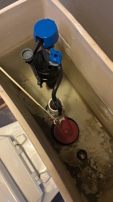 Responded to reported water leak originating from bathroom and penetrating into basement below kitchen area. Upon investigation, inspected toilet tank components and identified deteriorated flush mechanism with visible mineral buildup and sediment accumulation. Documented internal tank condition showing worn flapper valve, fill valve assembly, and significant hard water deposits on porcelain surfaces indicating potential seal failure as leak source.