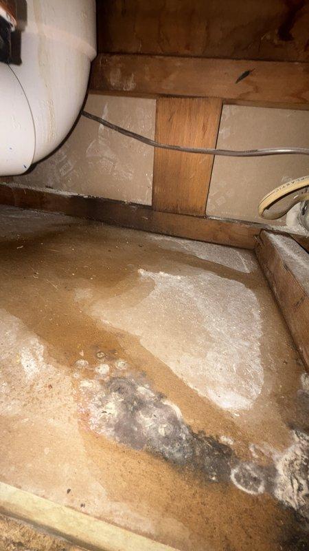 Responded to callback for toilet leak that persisted following previous repair attempt. Upon inspection, discovered significant water damage and moisture infiltration in crawlspace area beneath bathroom, with extensive mineral deposits, efflorescence, and evidence of ongoing leak penetrating subfloor. Documented deteriorated plywood subflooring with advanced water staining, mold growth, and structural concerns from prolonged moisture exposure. Traced leak source to failed wax ring seal at toilet flange connection that was not properly addressed during initial service visit. Removed toilet, replaced defective wax ring with reinforced seal, inspected and secured flange mounting, reinstalled fixture with proper torque specifications, and tested for leaks under multiple flush cycles to confirm repair integrity.