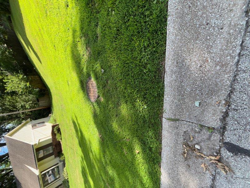 Responded to clogged basement floor drain. Upon arrival, found standing water in white PVC drain assembly with visible sediment buildup and brown staining around drain body and interior surfaces. Cleared blockage from drain line, restoring proper water flow and drainage function.