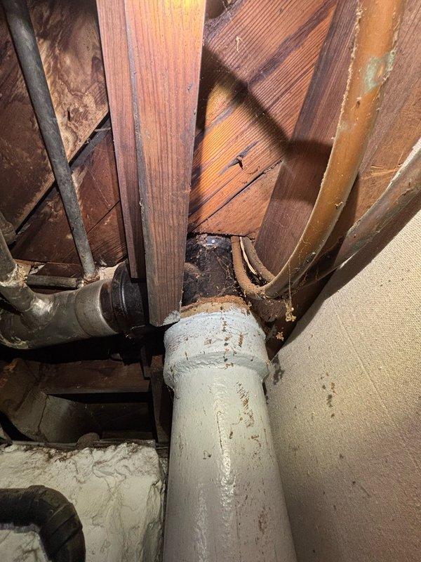 Responded to report of water leak from bathroom ceiling. Accessed crawlspace beneath bathroom to identify source of leak. Inspected plumbing infrastructure including drain lines and supply pipes in affected area. Located compromised plumbing component with red valve assembly in crawlspace showing signs of moisture intrusion. Examined vertical drain stack and associated piping where rust staining and discoloration were visible on painted metal pipe surfaces. Documented conditions with photographic evidence for service records. Advised on necessary repairs to resolve leak and prevent further water damage to ceiling below.