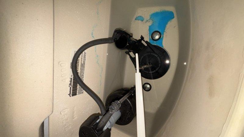 Completed comprehensive whole-home plumbing inspection at customer's request with no specific issues reported. Performed thorough evaluation of all accessible plumbing fixtures, water supply lines, drain systems, and visible components throughout the residence. Inspected bathroom facilities including toilet tank internals, fill valve, flush valve assembly, overflow tube, and supply connections—all components found to be functioning properly with noted presence of blue residual staining from previous use of in-tank cleaning tablets. Verified proper operation of pedestal sink, examined visible plumbing connections, and assessed overall fixture condition. All plumbing systems evaluated were operating within normal parameters with no immediate repairs required at time of inspection.