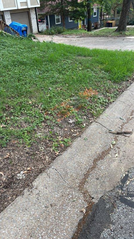 Completed underground sewer main drain installation work at residential property. Excavated and installed new sewer line from structure to connection point, backfilled work area, and restored affected grass and landscaping surfaces upon completion.