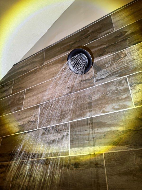 Performed comprehensive plumbing inspection as part of scheduled maintenance membership visit. Conducted thorough examination of bathroom shower system, including verification of proper showerhead operation and water flow patterns, and inspected under-sink plumbing components including P-trap assembly, PVC drain lines, and braided supply line connections to ensure proper function and identify any potential issues.