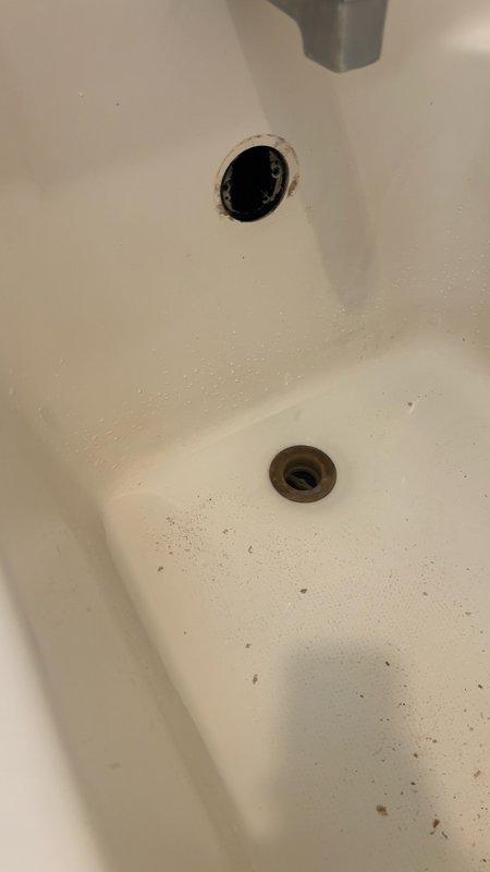 Responded to a clogged upstairs hallway bathroom shower drain in a 31-year-old residential property. Upon inspection, identified a significant accumulation of hair and organic debris obstructing the drain line. Successfully removed the blockage by extracting the matted hair mass and associated buildup from the drain assembly, restoring proper water flow and drainage function to the shower.