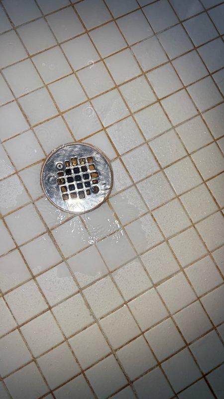 Responded to master bathroom shower drain flowing slowly. Upon inspection, found the chrome drain cover with standard perforated grid pattern showing signs of water staining and mineral deposits around edges. Removed drain cover to access drain line and cleared accumulated hair, soap residue, and debris causing the slow drainage. During inspection, identified significant corrosion and heavy mineral buildup on red pipe valve connection beneath shower area, with brownish crusty deposits indicating long-term deterioration of the plumbing fixture. Tested water flow after clearing blockage to confirm proper drainage restored. Recommended replacement of corroded pipe fitting to prevent future leaks or failure.