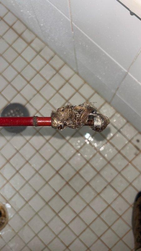 Responded to master bathroom shower drain flowing slowly. Upon inspection, found the chrome drain cover with standard perforated grid pattern showing signs of water staining and mineral deposits around edges. Removed drain cover to access drain line and cleared accumulated hair, soap residue, and debris causing the slow drainage. During inspection, identified significant corrosion and heavy mineral buildup on red pipe valve connection beneath shower area, with brownish crusty deposits indicating long-term deterioration of the plumbing fixture. Tested water flow after clearing blockage to confirm proper drainage restored. Recommended replacement of corroded pipe fitting to prevent future leaks or failure.