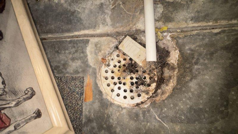 Completed comprehensive whole-home plumbing inspection on 17-year-old residential property. Investigated reported leaky toilet, inspecting tank components, flush mechanism, wax ring seal, and water supply connections. Verified main water shut-off valve operation and accessibility in basement location. Examined all visible plumbing fixtures, supply lines, drain assemblies, and accessible piping throughout the home for signs of leaks, corrosion, or deterioration. Documented conditions with photographs for maintenance records.