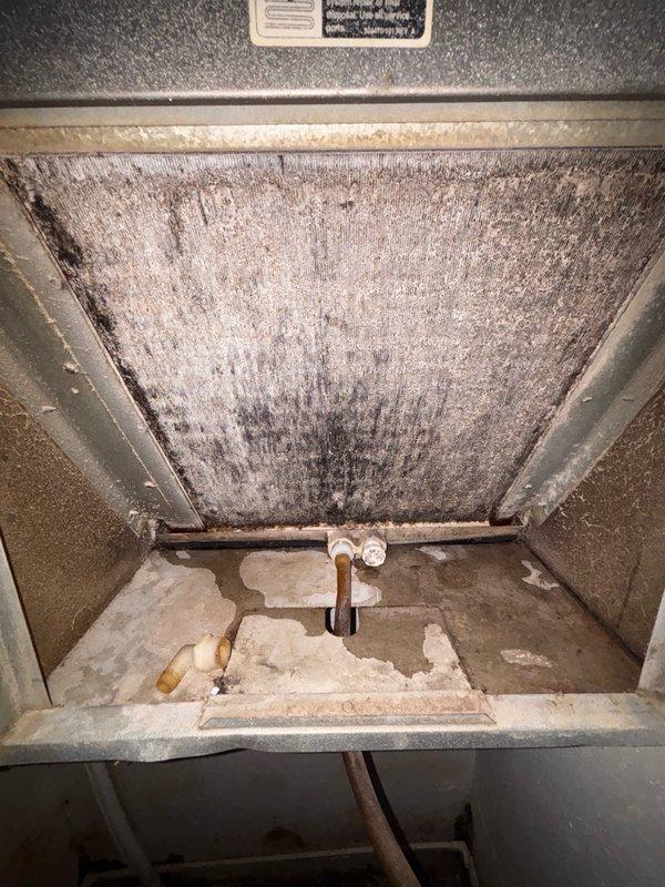 Responded to service call for air handler maintenance and refrigerant leak. Upon inspection, found evaporator coil heavily soiled with dust and debris accumulation, restricting airflow and reducing system efficiency. Thoroughly cleaned evaporator coil using appropriate coil cleaner to restore proper heat transfer capability. Located active refrigerant leak at indoor unit connections. Replaced dirty 16x20x1 air filter that showed significant contamination. Repaired refrigerant leak at copper line connections near air handler base, pressure tested system to verify leak repair, and recharged unit to manufacturer specifications. Verified proper system operation and airflow upon completion.