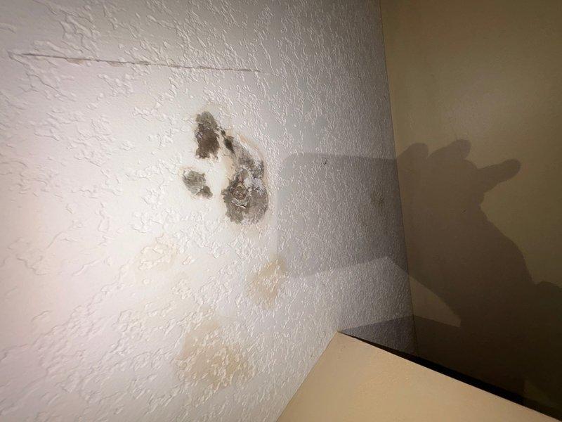 Responded to water leak investigation in basement of 21-year-old residential property. Upon arrival, conducted thorough visual inspection to locate source of reported moisture intrusion. Discovered active water leak affecting HVAC ductwork penetration through basement wall assembly. 

Investigation revealed significant water infiltration at flexible aluminum duct pass-through, with heavy water staining and dripping evident on ductwork surface and surrounding wooden framing members. Dark water staining patterns indicated prolonged exposure to moisture. White mineral deposits and brown discoloration observed on structural wood members at penetration point, consistent with extended water contact. Water had accumulated and dripped onto surfaces below the compromised area.

Additional moisture damage identified on adjacent basement wall surfaces, including compromised drywall with exposed substrate material and secondary water staining. Discoloration patterns on textured wall finish indicat