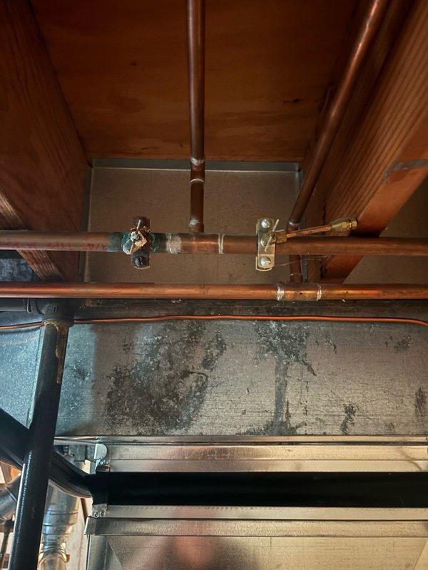 Completed comprehensive assessment of 10-year-old residential water heater located in basement mechanical room. Evaluated existing unit's operational status, inspected copper supply lines with shut-off valves, verified proper venting configuration including black flue pipe and metallic ductwork connections, and examined mounting location on concrete floor between structural support beams. Documented current plumbing infrastructure, valve accessibility, and ventilation system for water heater replacement estimate.