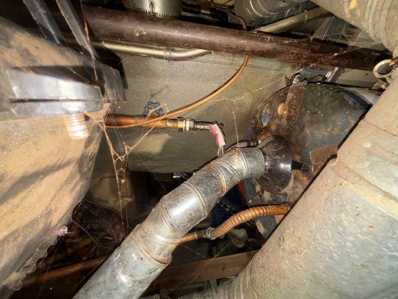 Responded to main drain stoppage in basement of 55-year-old home caused by tree root intrusion. Successfully cleared main drain line using professional drain cleaning equipment to restore proper flow and drainage. Additionally replaced deteriorated wax ring seal on toilet as requested to prevent future leaks and ensure proper fixture operation.