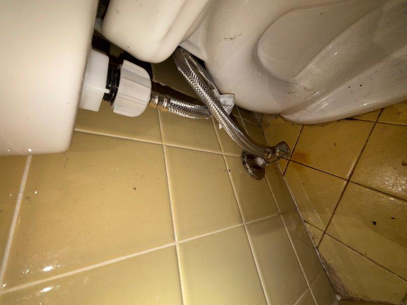 Responded to reported water supply line leak at toilet fixture in main hallway bathroom. Upon arrival, inspected the chrome water supply line connection between the wall shut-off valve and toilet tank fill valve. Identified leak source at the supply line connection point. Replaced the existing water supply line with new flexible stainless steel braided supply line. Installed new connection hardware at both the shut-off valve and toilet tank fill valve to ensure proper seal. Tested system by turning water supply back on and cycling toilet multiple times to verify leak was eliminated and all connections were secure with no water seepage.