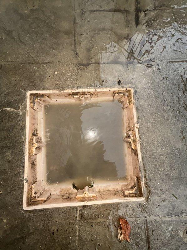 # Patio Drain Cleaning - Slow Drainage Issue Resolved

Responded to service call for patio drain experiencing significantly reduced flow rate. Upon arrival, inspected square drain basin installed in concrete patio floor showing visible signs of debris accumulation and standing water around drain fixture. 

Performed thorough assessment of drainage system and identified blockage causing slow water evacuation. Cleared obstruction from drain line using appropriate drain cleaning equipment and techniques. Removed accumulated organic debris, sediment, and buildup from drain basin and surrounding area that was contributing to poor drainage performance.

Tested drain flow after clearing blockage to verify proper water evacuation and confirm restoration of normal drainage function. Patio drain now operating at full capacity with no standing water remaining in basin area.